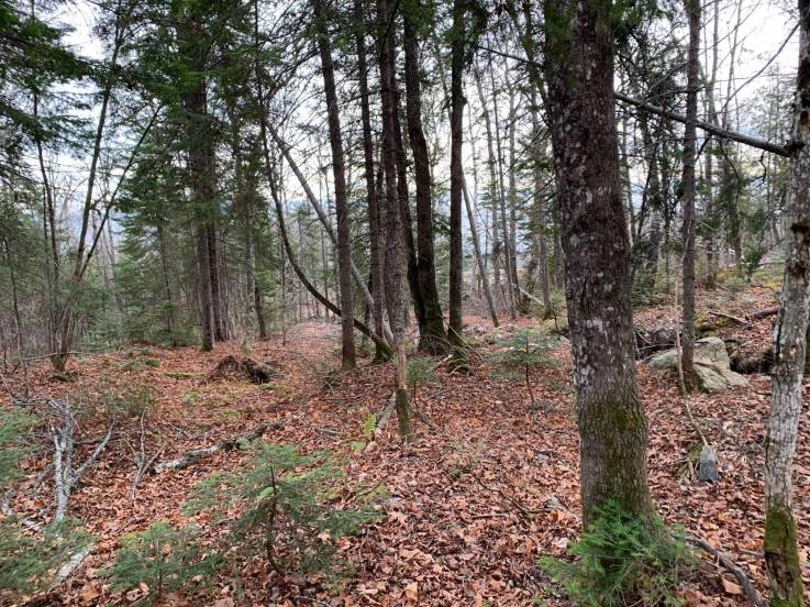 Terrain et terre à vendre - Petite-Rivière-Saint-François, Charlevoix (PR817)