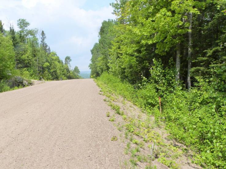 Terrain et terre à vendre - Petite-Rivière-Saint-François, Charlevoix (PR813)
