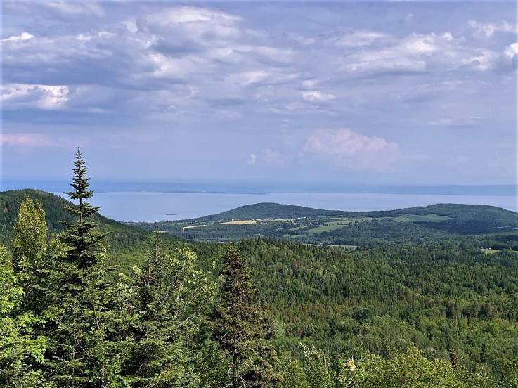 Terrain et terre à vendre - Les Éboulements, Charlevoix (EB320)